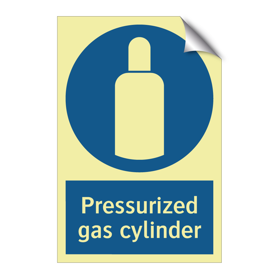 Pressurized gas cylinder