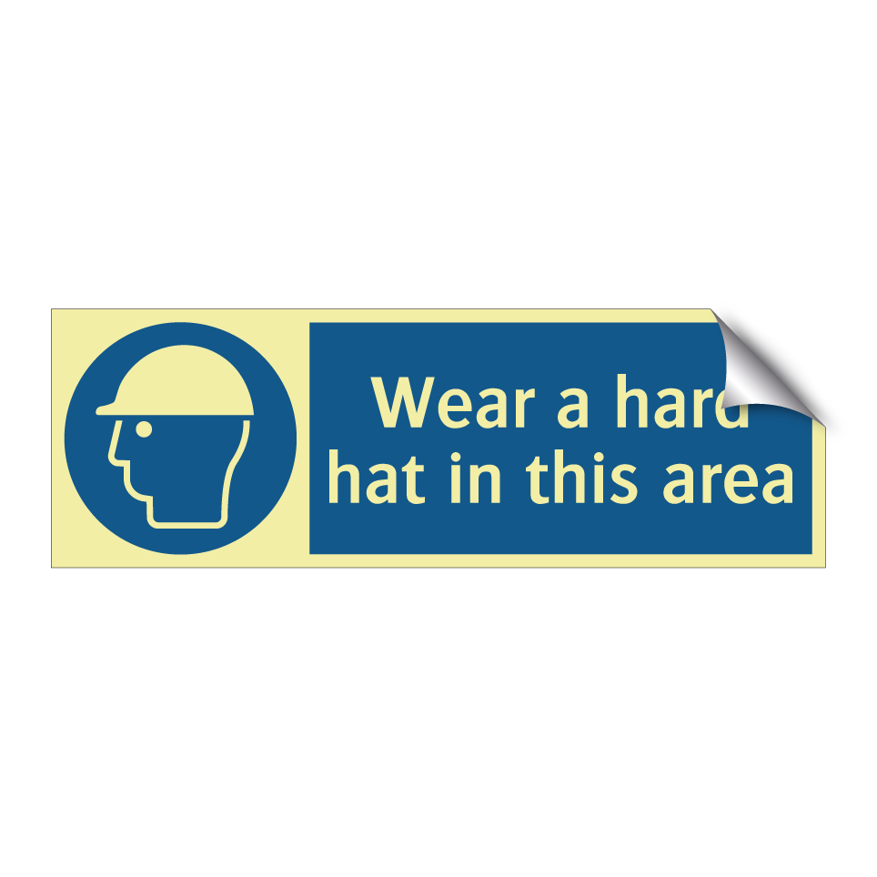 Wear a hard hat in this area