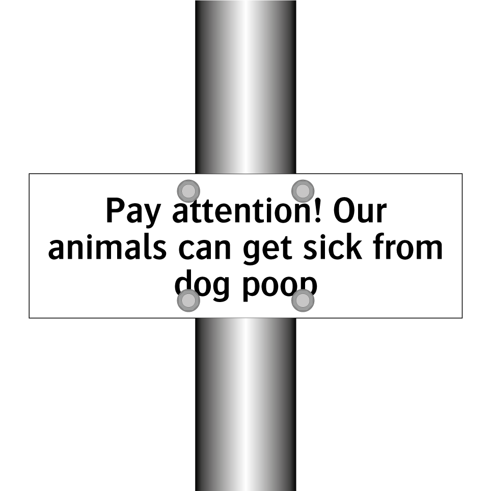 Pay attention! Our animals can get sick from dog poop