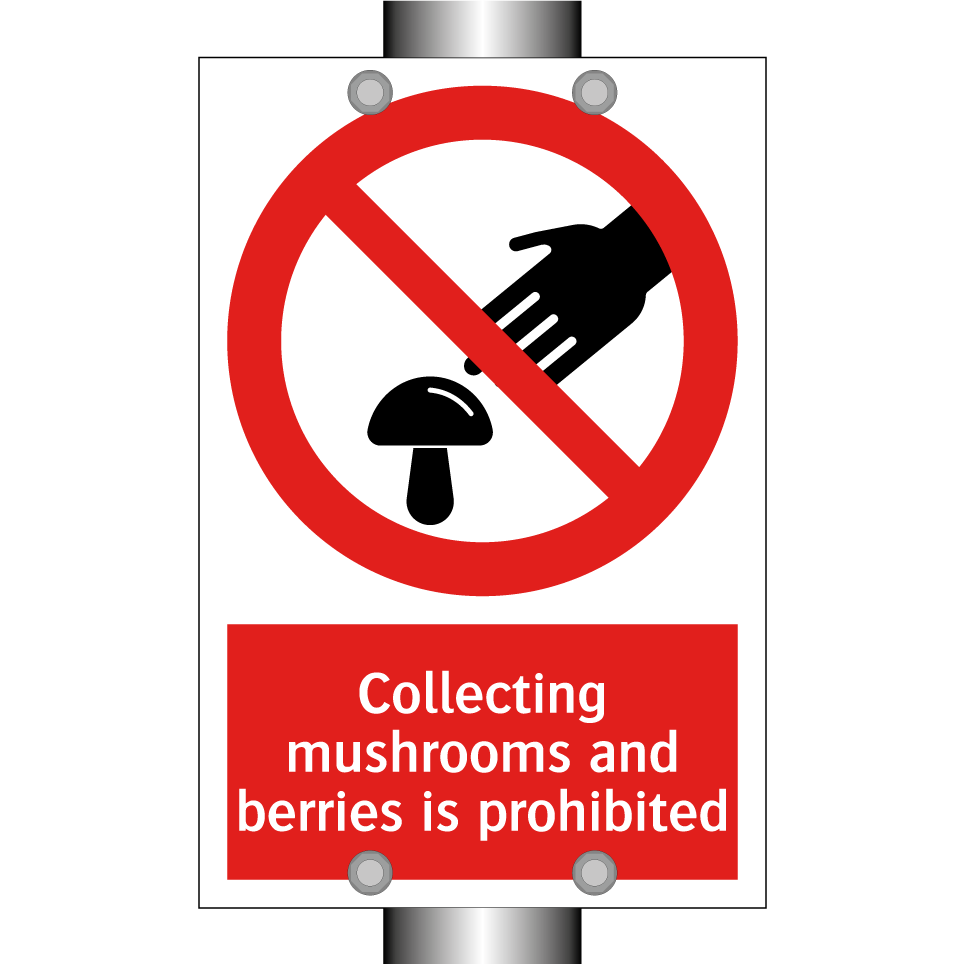 Collecting mushrooms and berries is prohibited