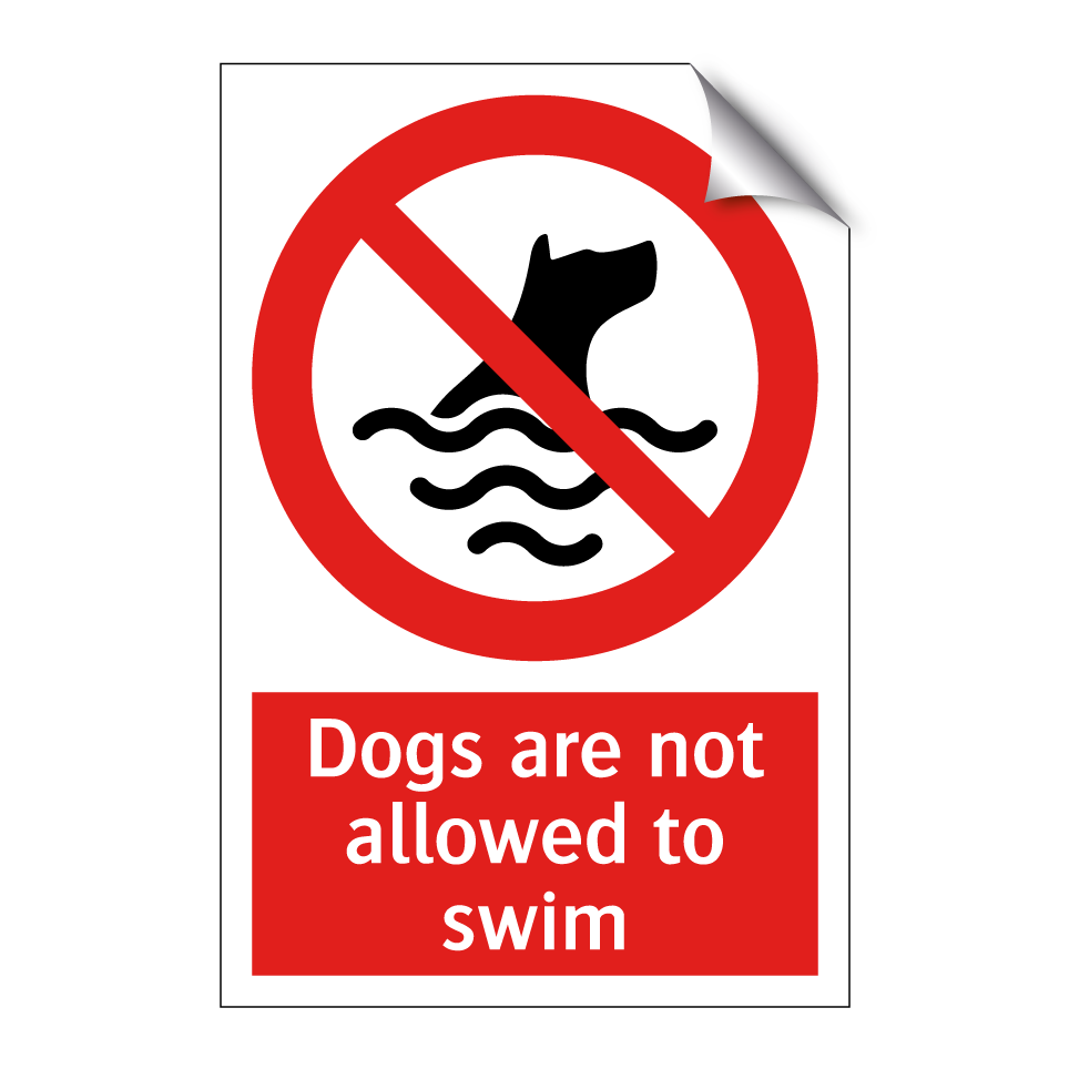 Dogs are not allowed to swim