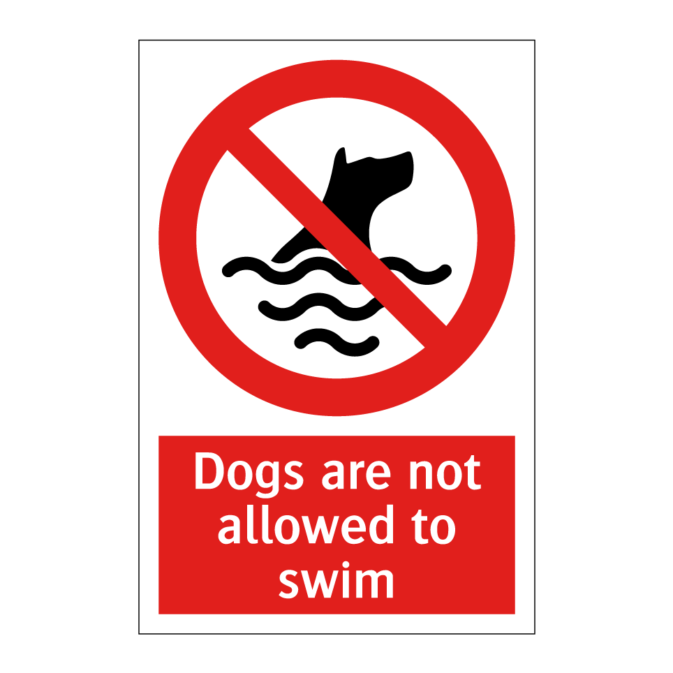 Dogs are not allowed to swim