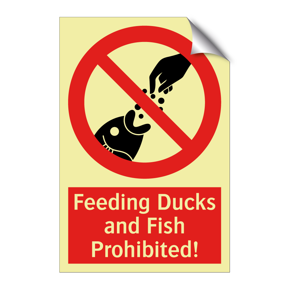 Feeding Ducks and Fish Prohibited!