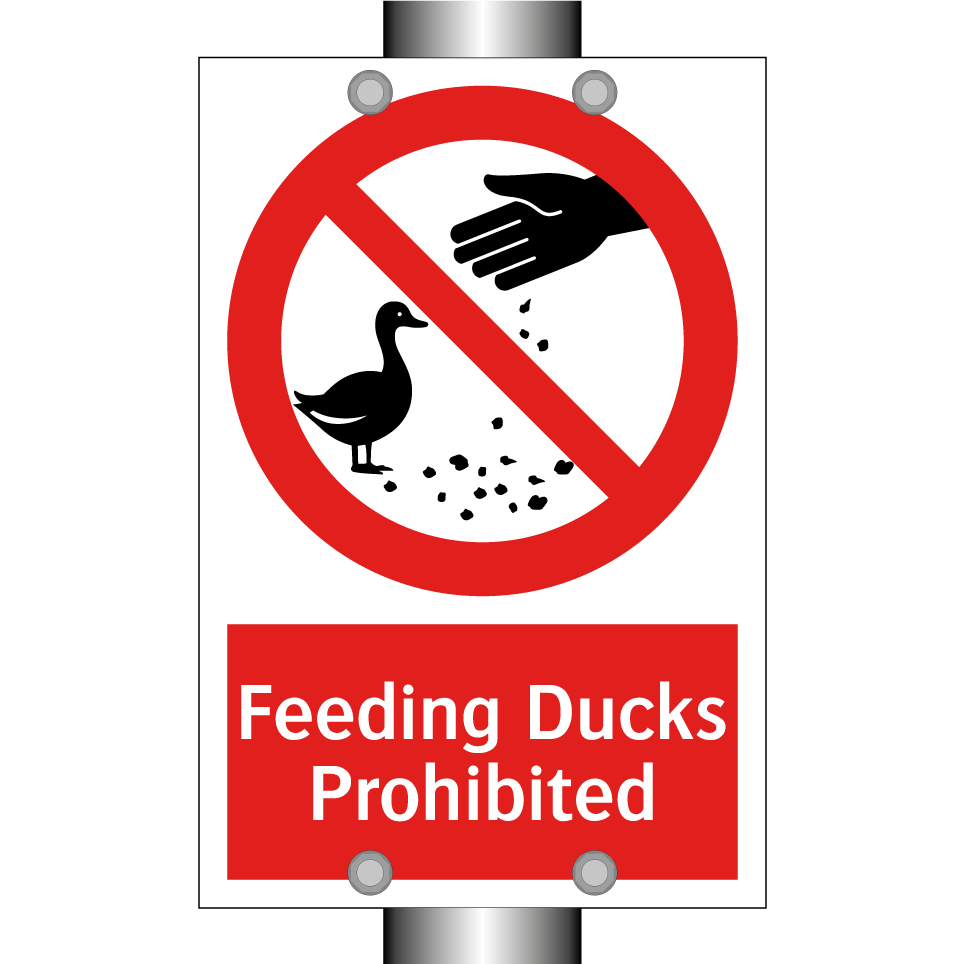 Feeding Ducks Prohibited
