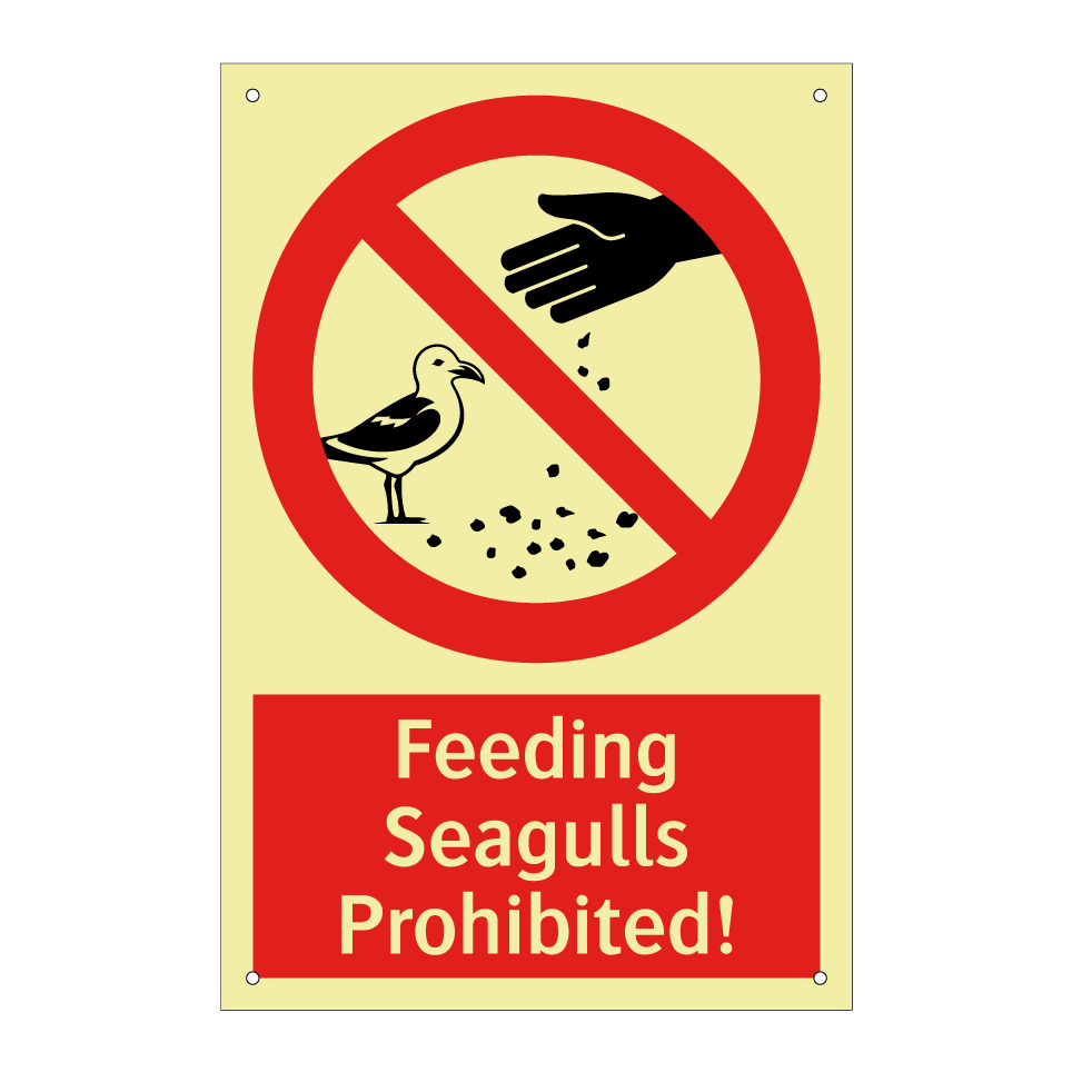 Feeding Seagulls Prohibited!