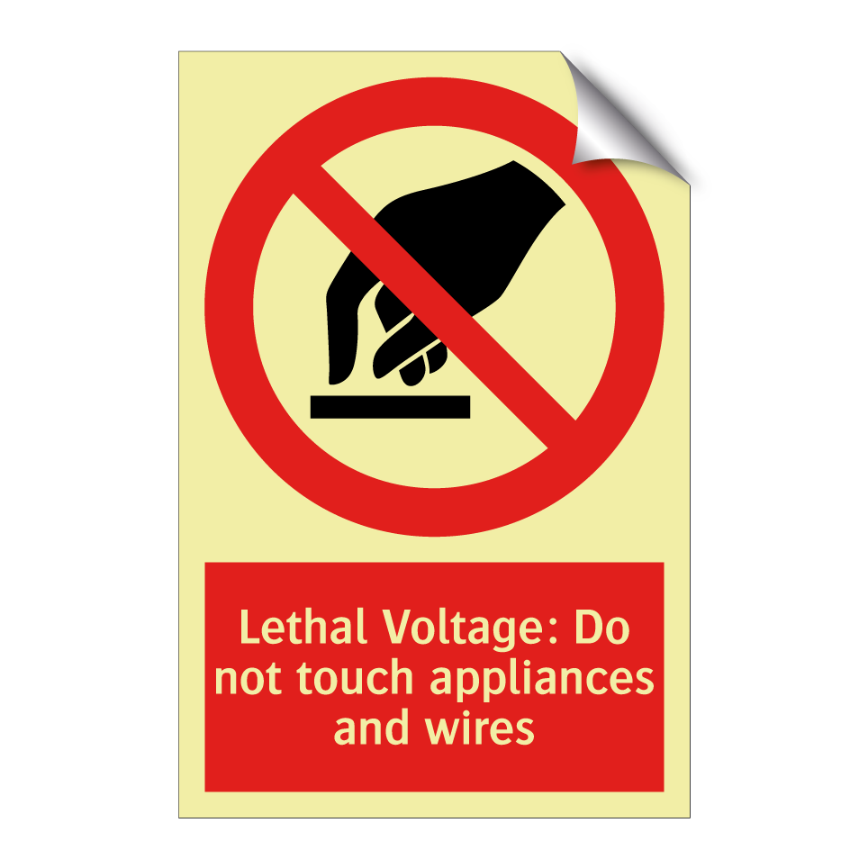 Lethal Voltage: Do not touch appliances and wires