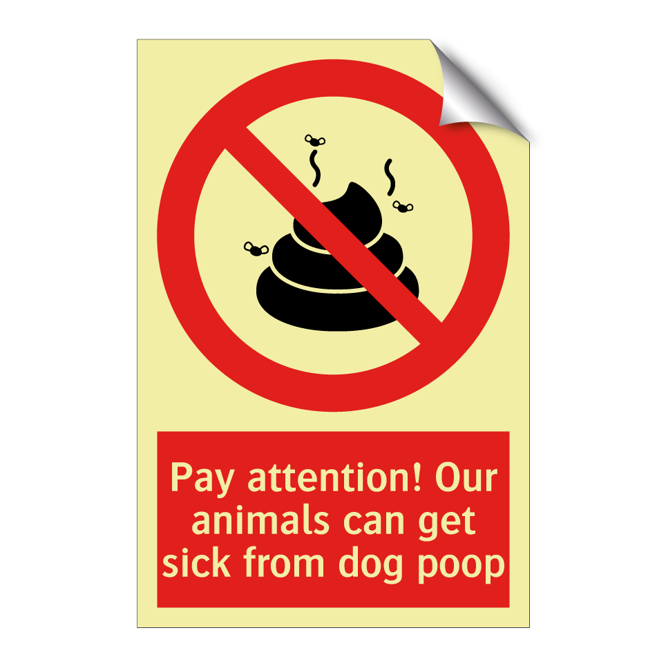 Pay attention! Our animals can get sick from dog poop