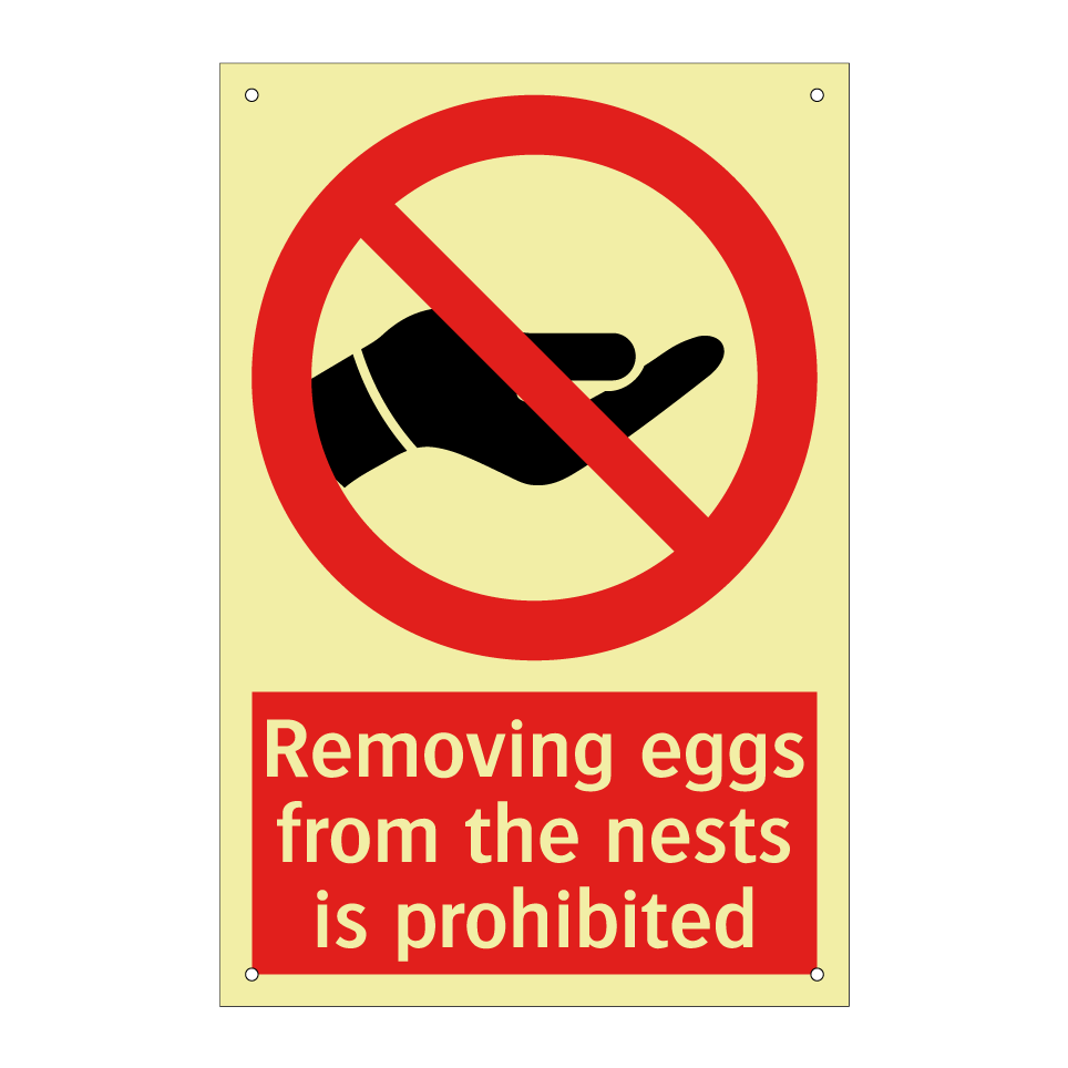Removing eggs from the nests is prohibited