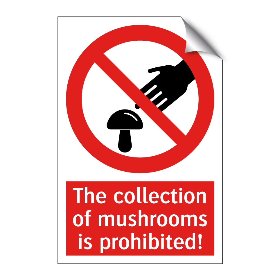 The collection of mushrooms is prohibited!