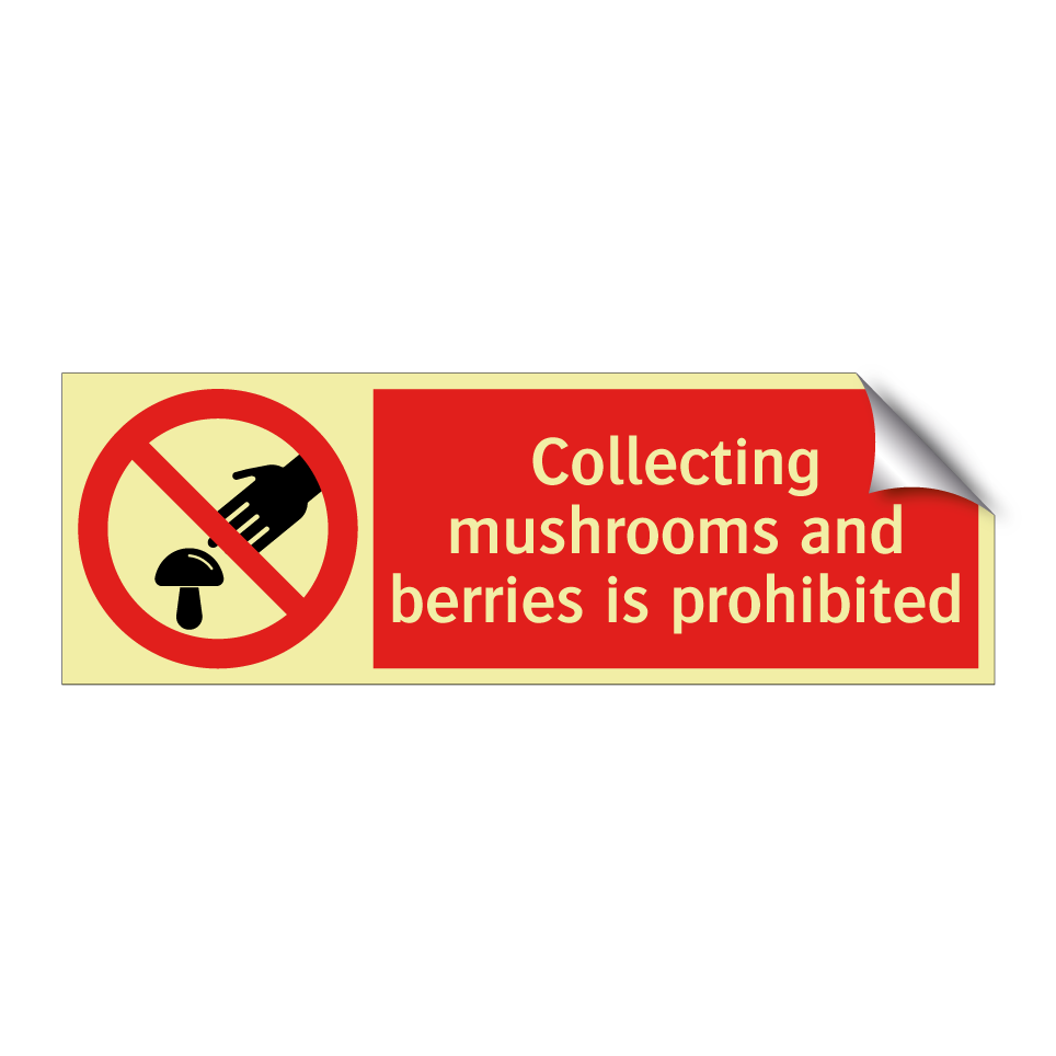 Collecting mushrooms and berries is prohibited
