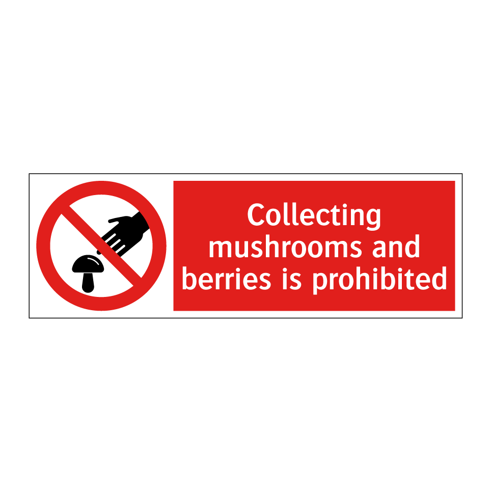 Collecting mushrooms and berries is prohibited