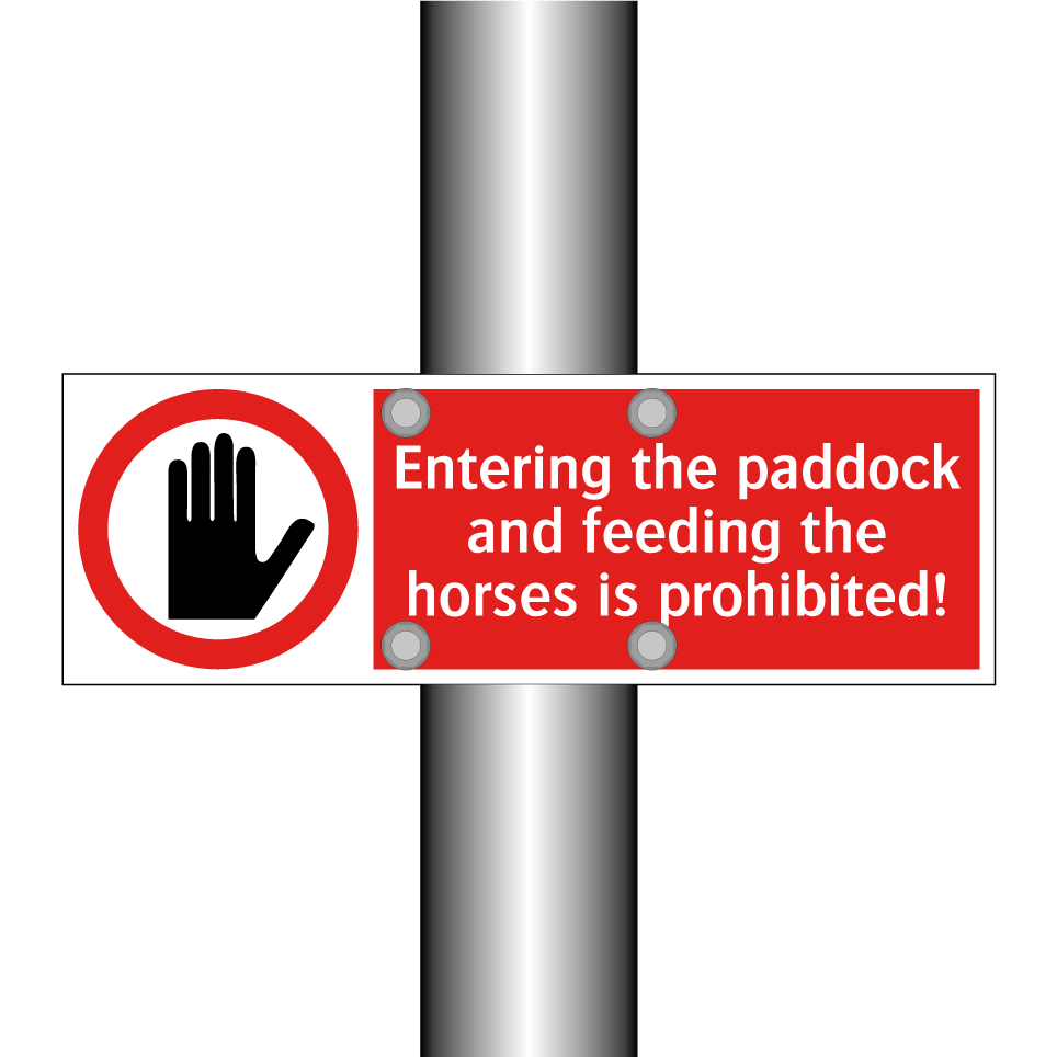 Entering the paddock and feeding the horses is prohibited!