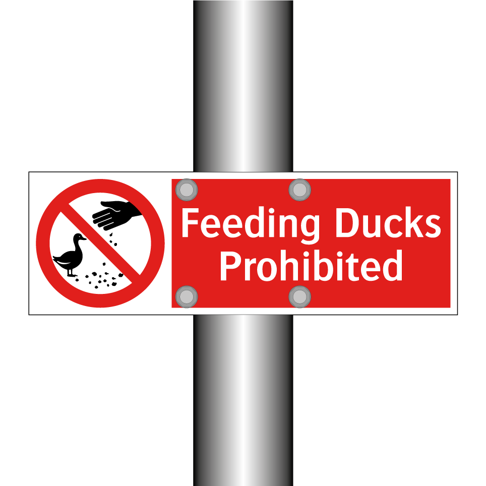 Feeding Ducks Prohibited