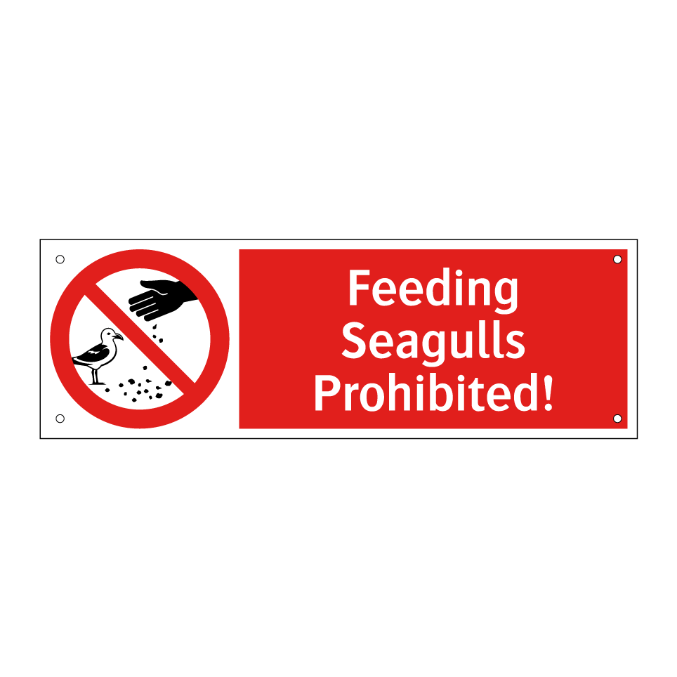 Feeding Seagulls Prohibited!