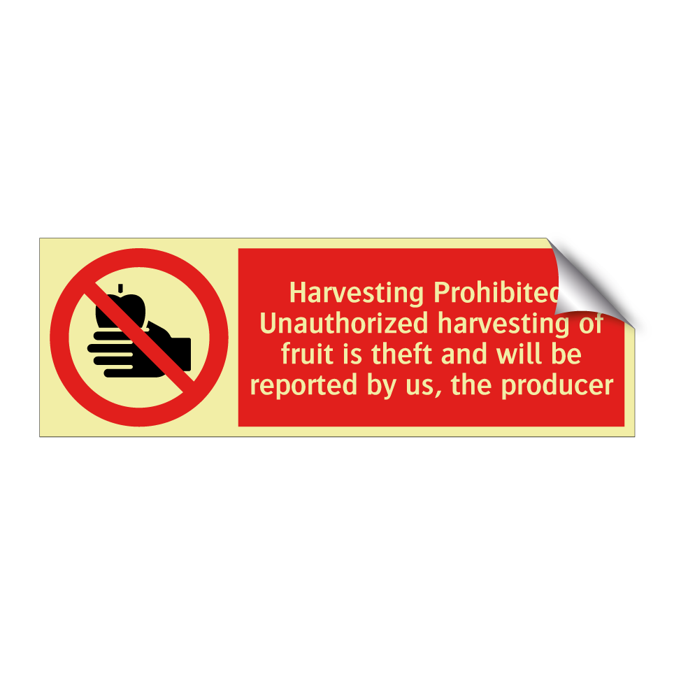 Harvesting Prohibited: Unauthorized harvesting of fruit is theft and will be reported by us, the producer