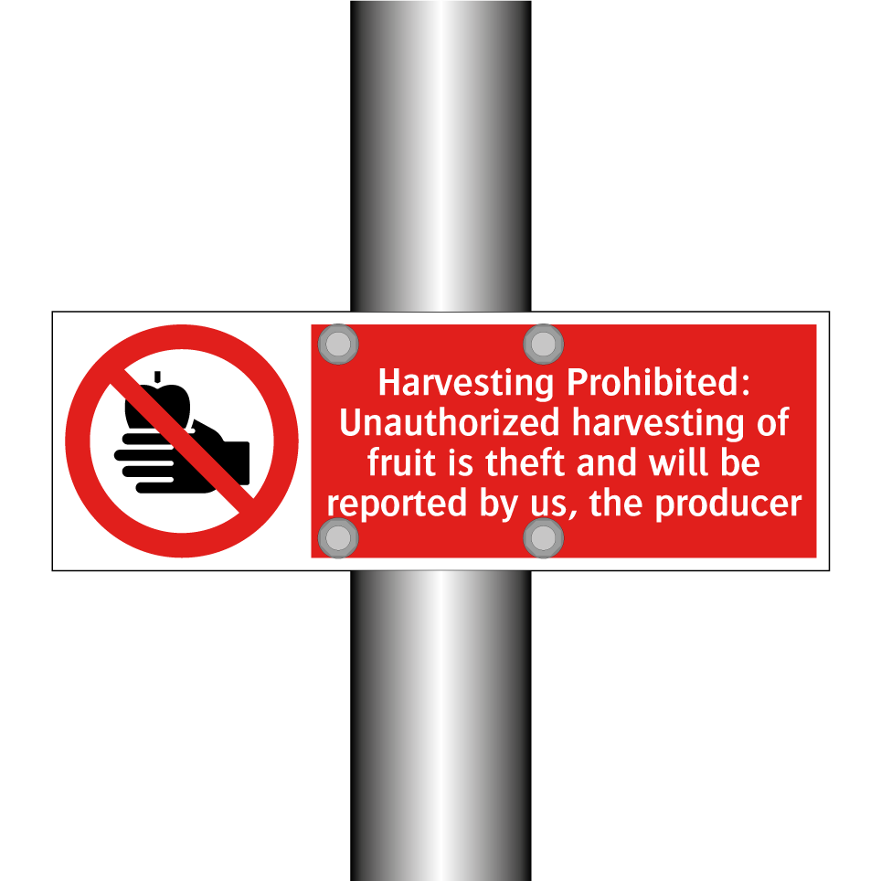 Harvesting Prohibited: Unauthorized harvesting of fruit is theft and will be reported by us, the producer