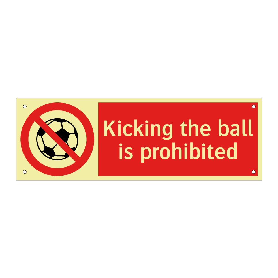 Kicking the ball is prohibited