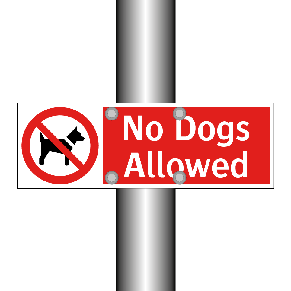 No Dogs Allowed