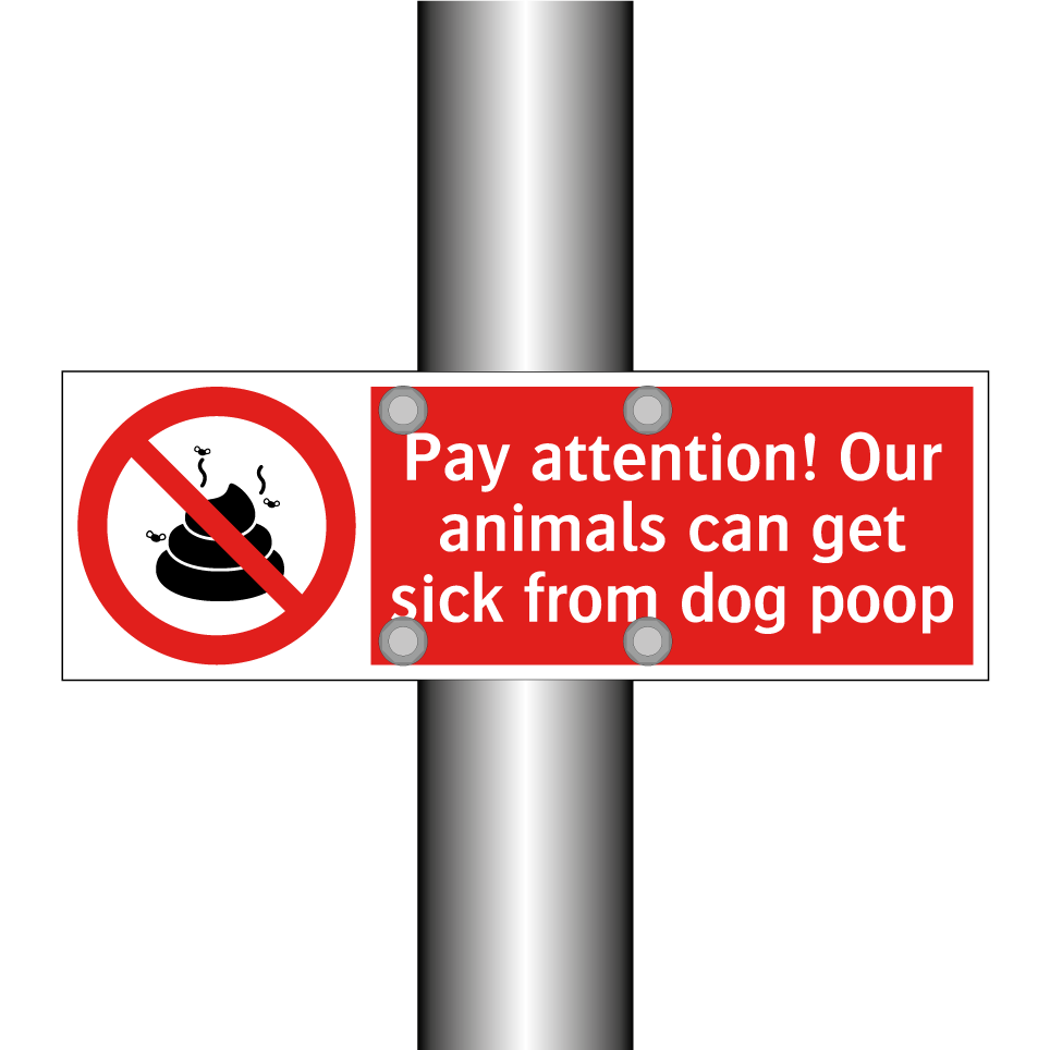 Pay attention! Our animals can get sick from dog poop