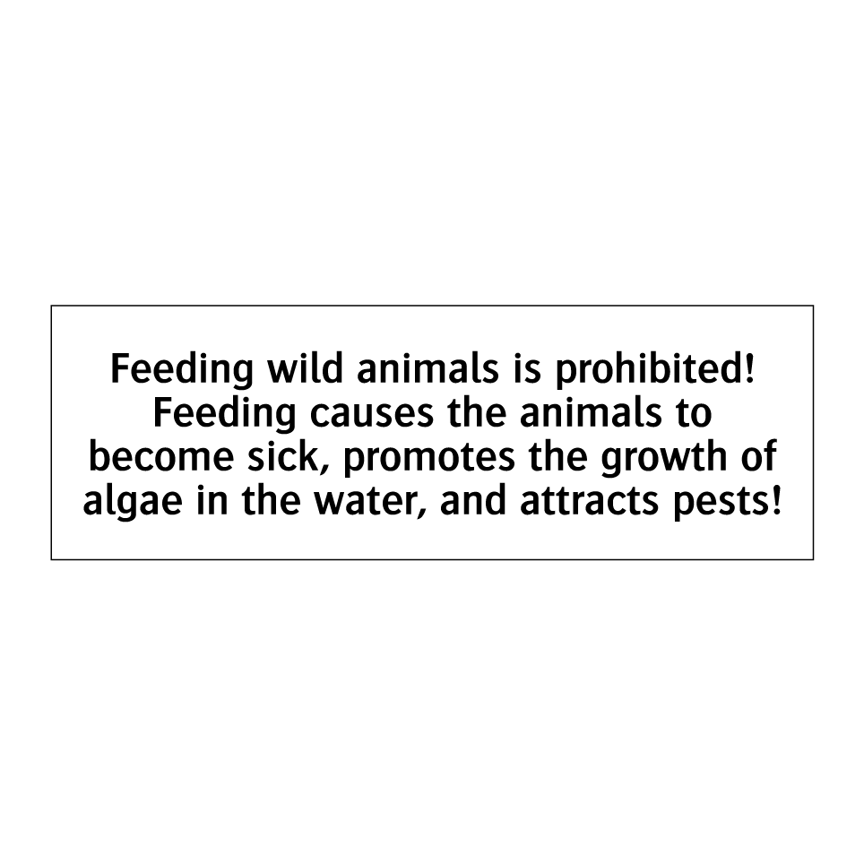 Feeding wild animals is prohibited! Feeding causes the animals to become sick, promotes the growth of algae in the water, and attracts pests!