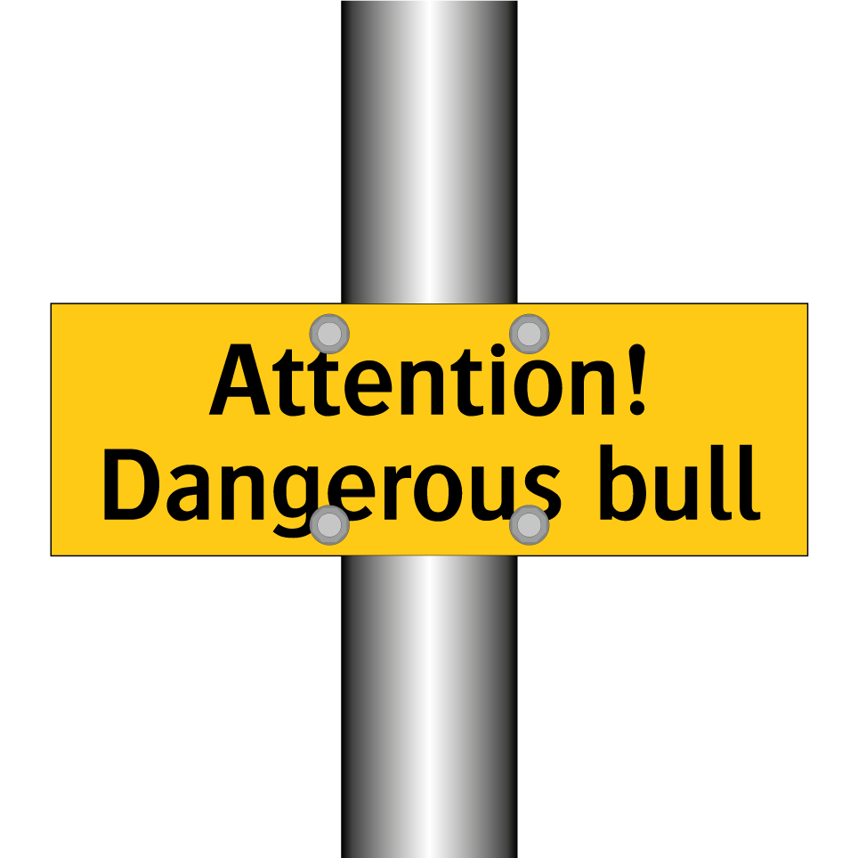 Attention! Dangerous bull