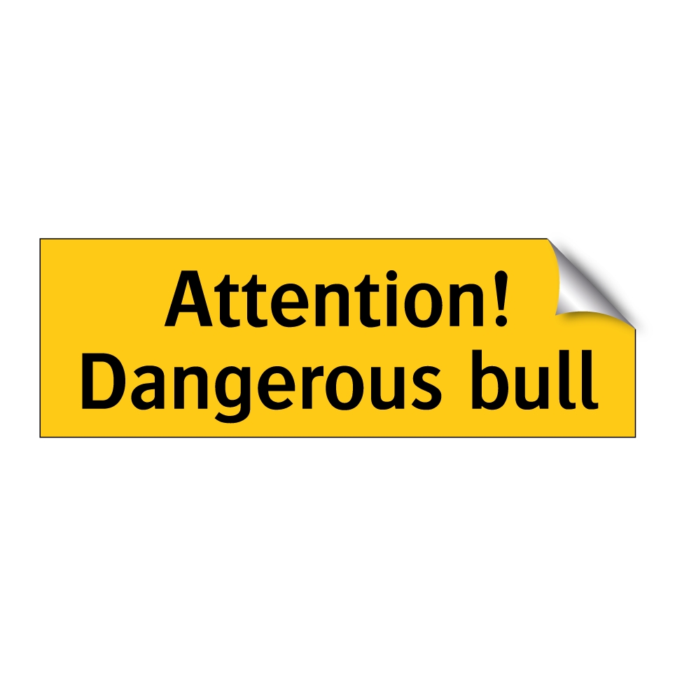 Attention! Dangerous bull