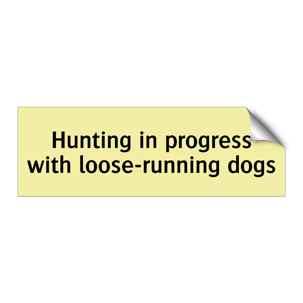 Hunting in progress with loose-running dogs