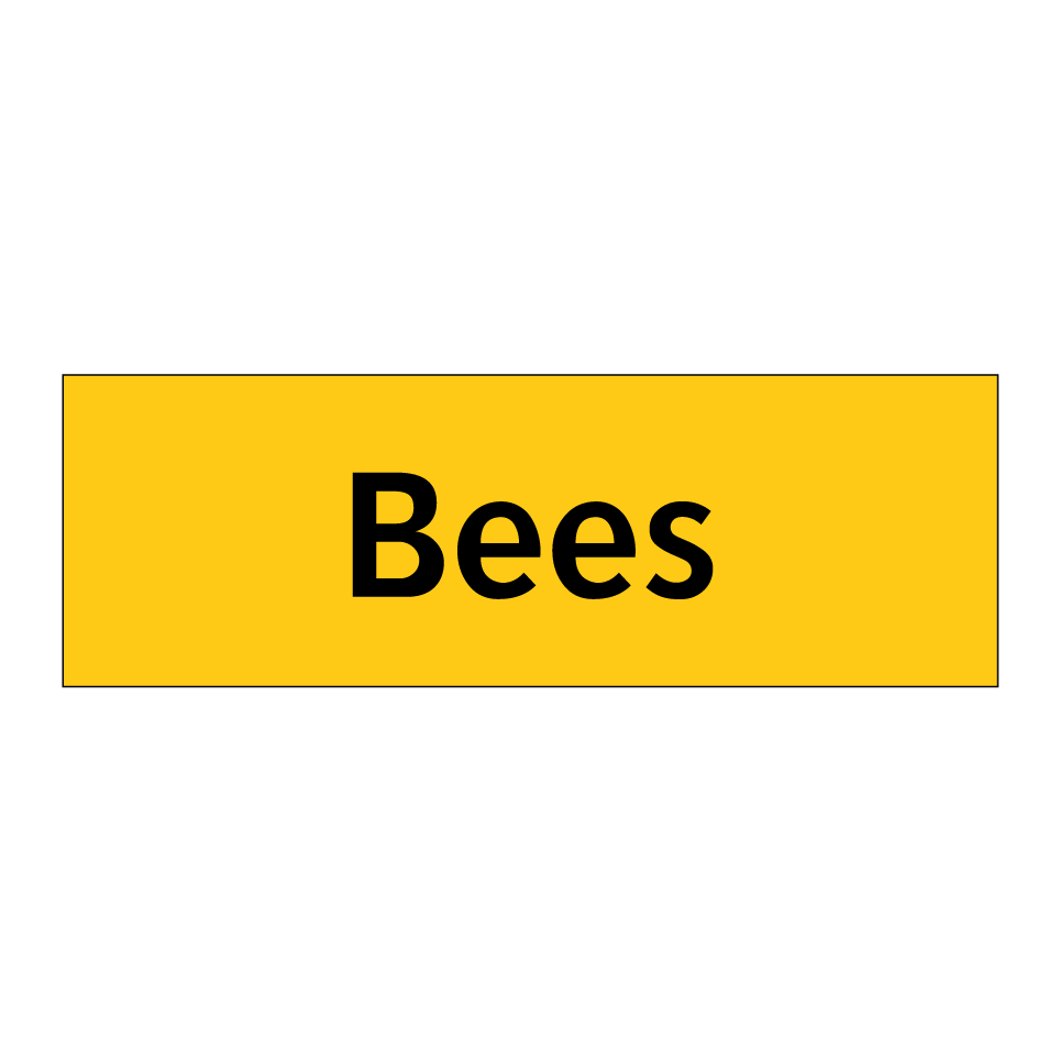 Bees