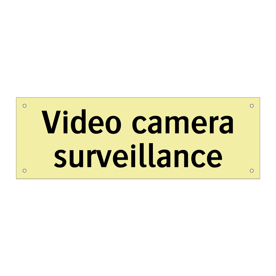 Video camera surveillance
