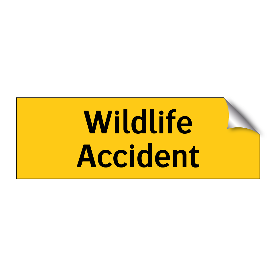 Wildlife Accident