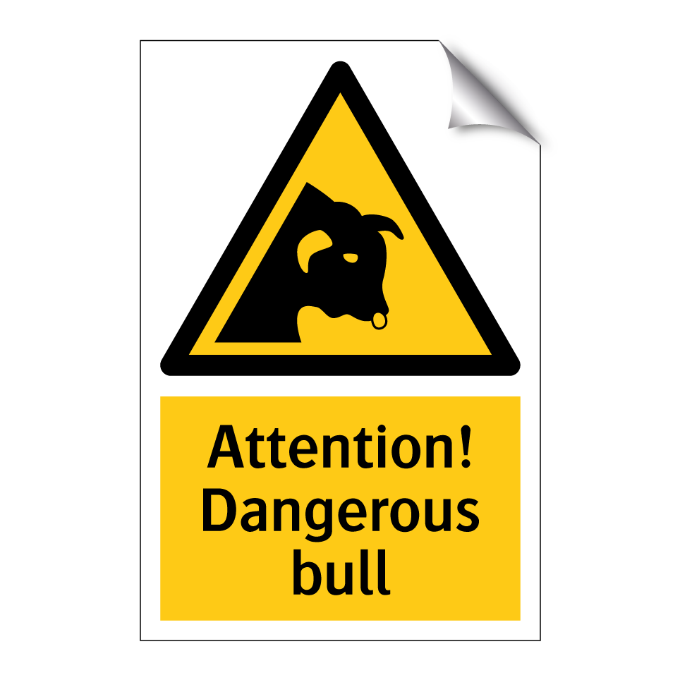 Attention! Dangerous bull