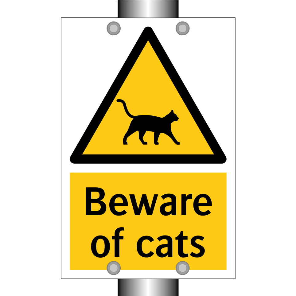 Beware of cats