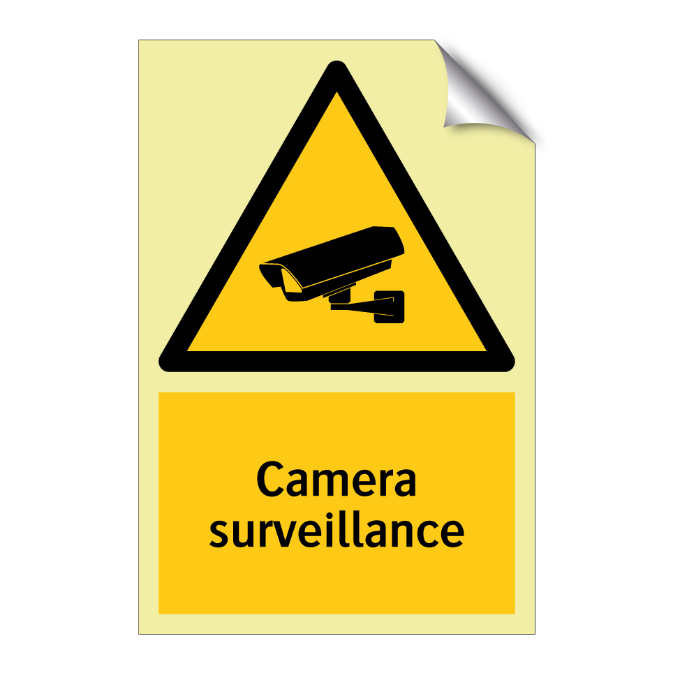 Camera surveillance