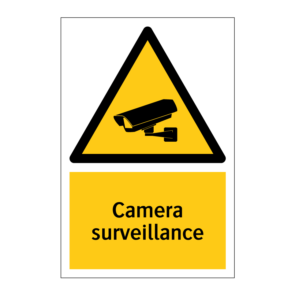 Camera surveillance