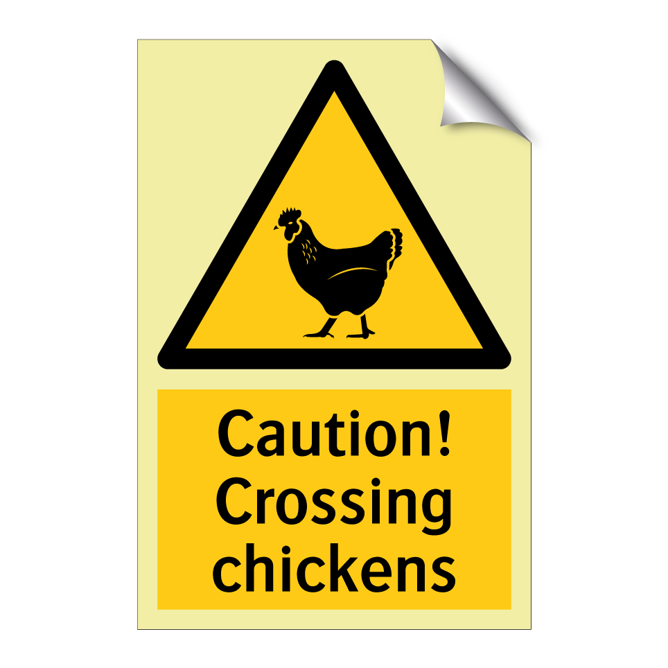 Caution! Crossing chickens
