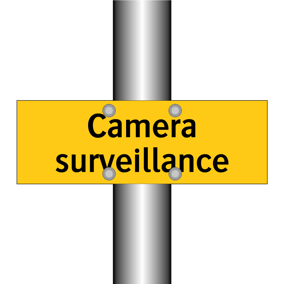 Camera surveillance
