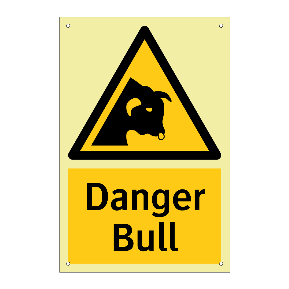 Danger Bull