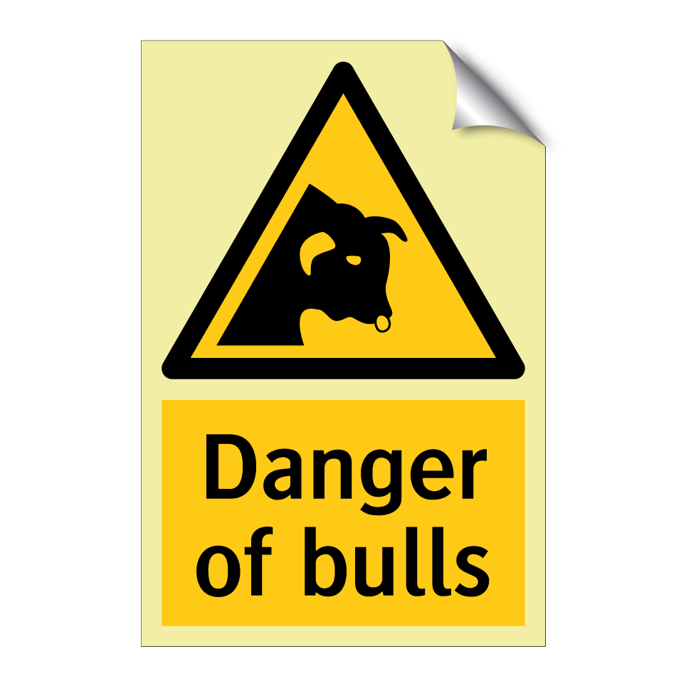 Danger of bulls