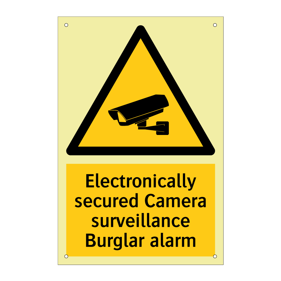 Electronically secured Camera surveillance Burglar alarm