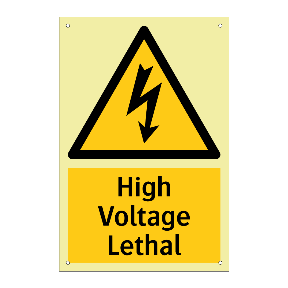 High Voltage Lethal