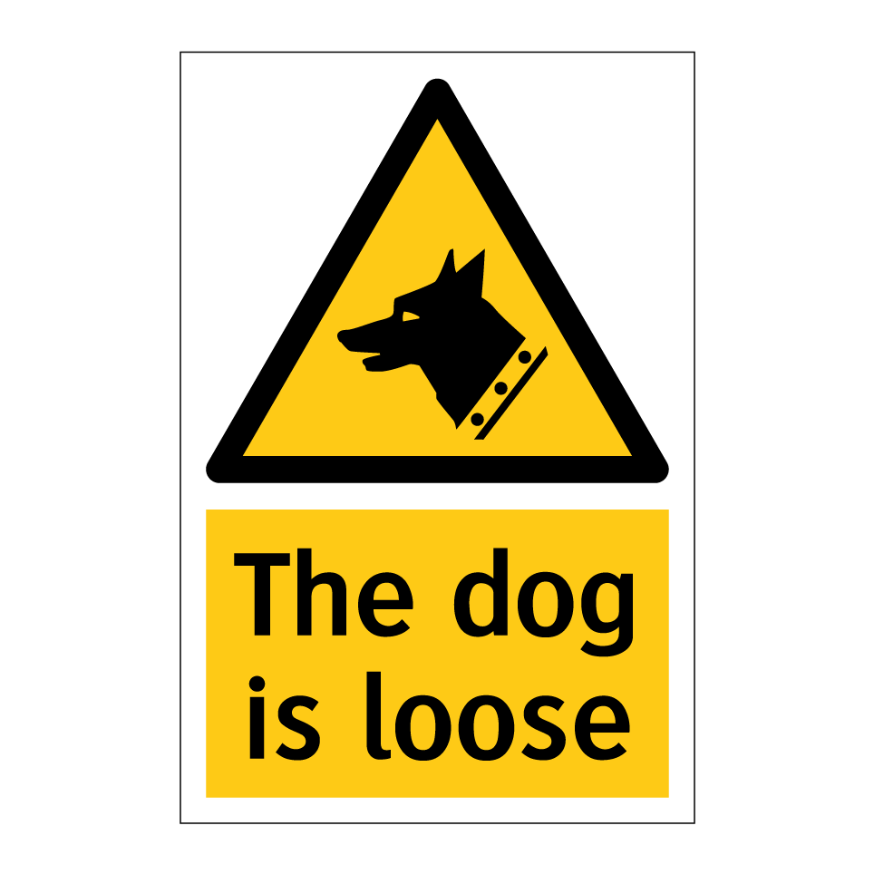The dog is loose