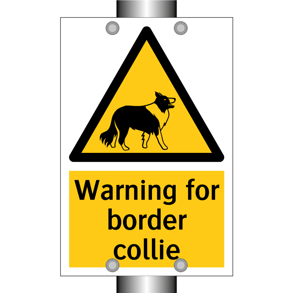 Warning for border collie