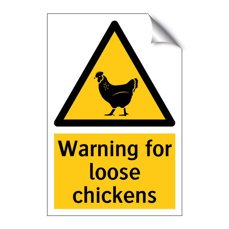 Warning for loose chickens