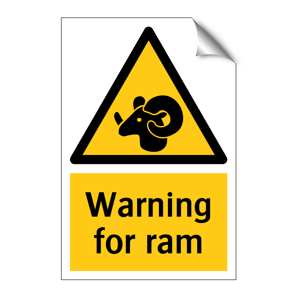 Warning for ram