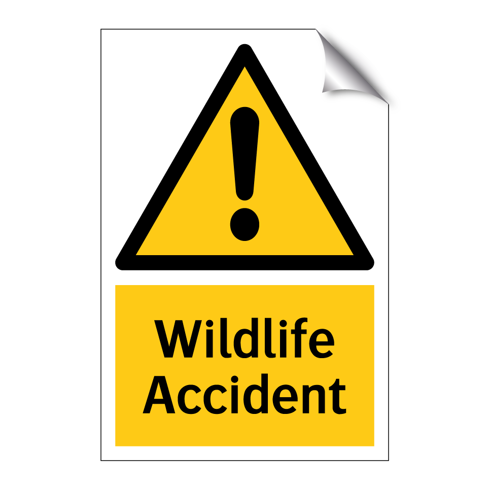 Wildlife Accident
