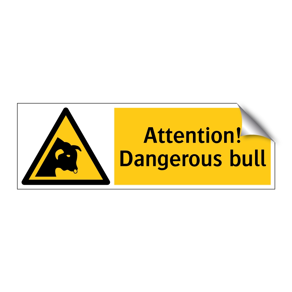 Attention! Dangerous bull