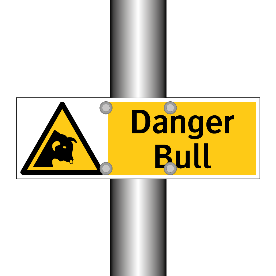 Danger Bull