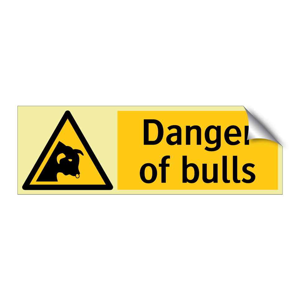Danger of bulls