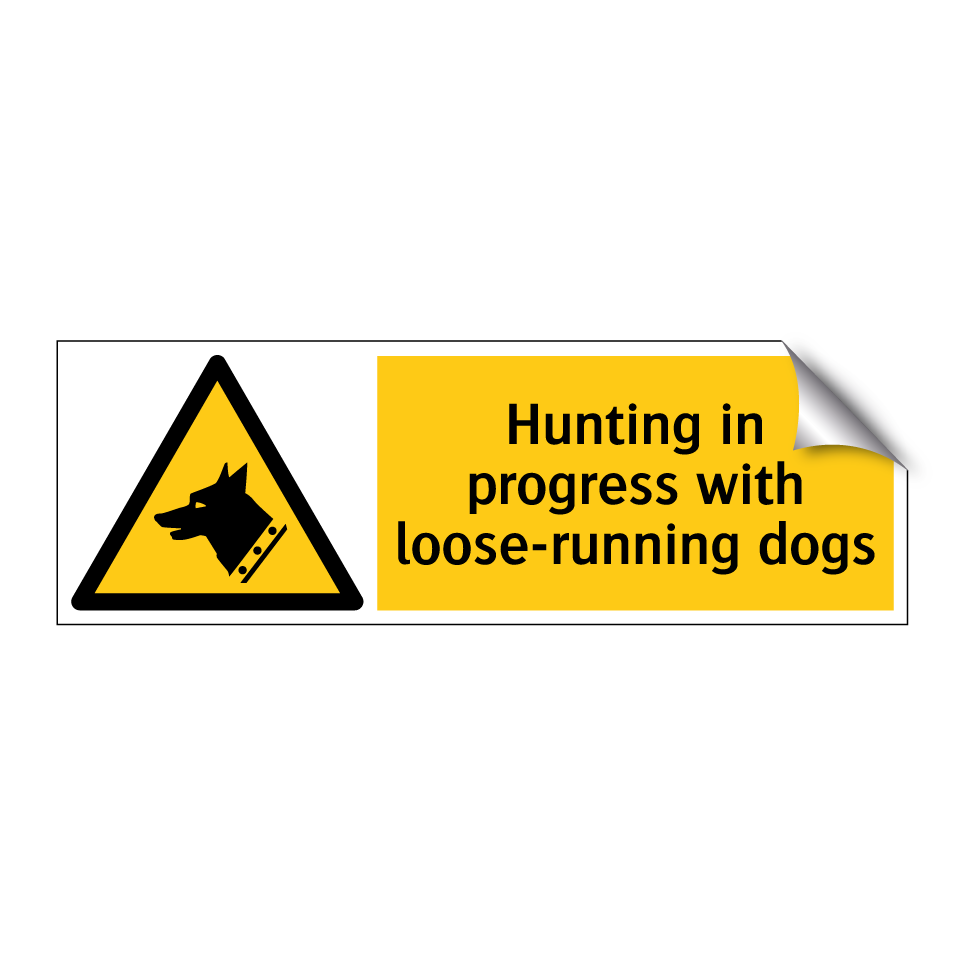 Hunting in progress with loose-running dogs