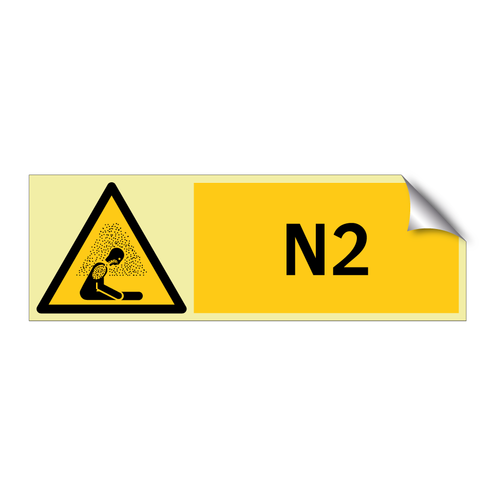 N2